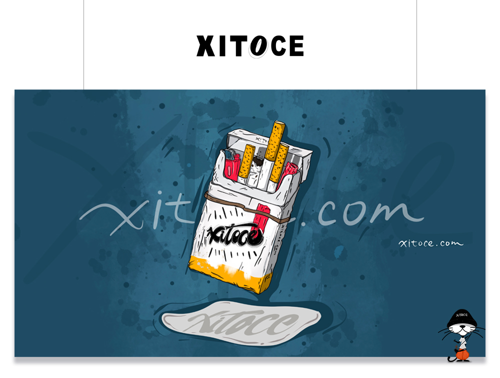弦拓文化 XITOCE  品牌宣传视觉设计