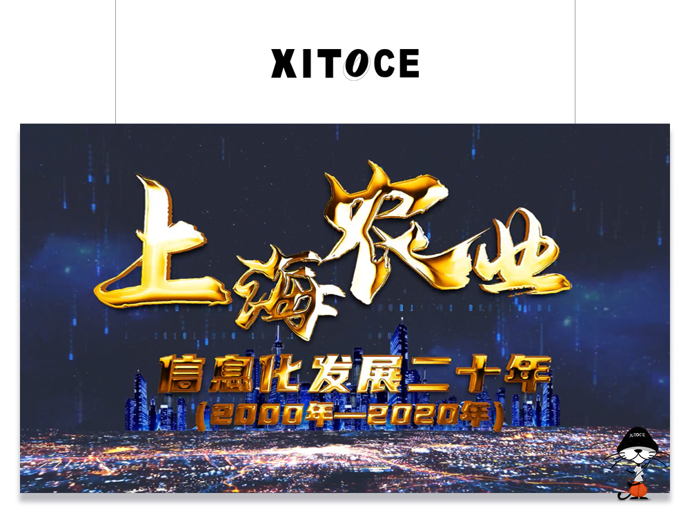 XITOCE 弦拓文化&上海农业网 信息化发展20年宣传视频